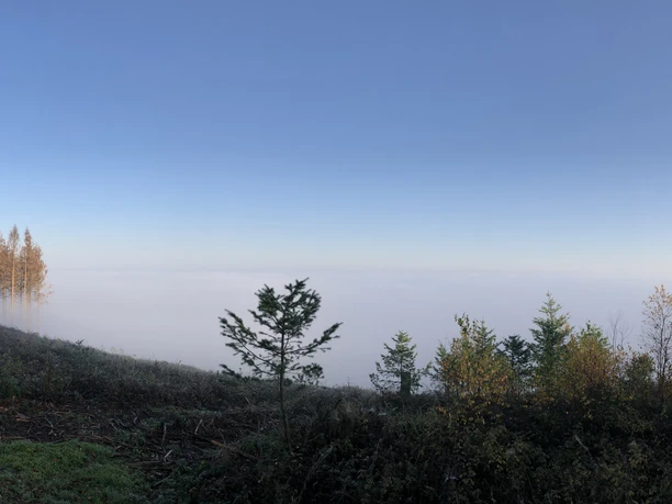 Ebberg-über-wolken.JPG Teutoburger Wald Eggegebirge