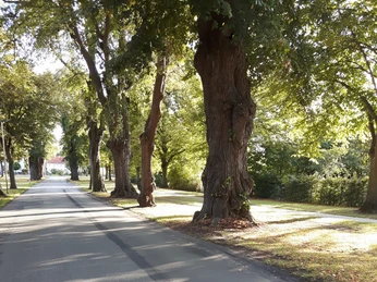 hubeweg-hinauf-zur-hube