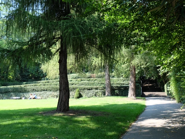 Grüner Stadtpark im Sommer mit Schatten spendenden Bäumen, blühenden Rasenflächen und Spazierwegen.
