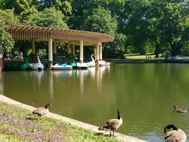 Hangeweiher Gänse und Enten sitzen auf einem begrünten Ufer oder schwimmen im Wasser. Im Hintergrund stehen mehrere Tretboote in Form von Schwänen unter einer rundlichen Überdachung geparkt.