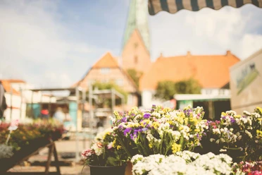 Eutin Wochenmarkt Der Eutiner Wochenmarkt mit der St. Michaeliskirche im Hintergrund
