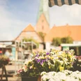 Eutin Wochenmarkt Der Eutiner Wochenmarkt mit der St. Michaeliskirche im Hintergrund