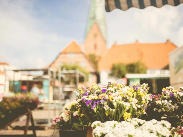 Eutin Wochenmarkt Der Eutiner Wochenmarkt mit der St. Michaeliskirche im Hintergrund