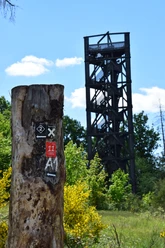 Aussichtsturm Auf dem Knollen Der Aussichtsturm im Wald mit markiertem Baumstamm und sonnigem Himmel.