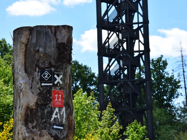 Aussichtsturm Auf dem Knollen Der Aussichtsturm im Wald mit markiertem Baumstamm und sonnigem Himmel.