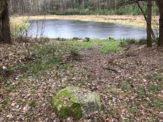 Blinder See Ein verwunschener Steg führt durch einen lichten Wald zu einem abgelegenen, stillen Waldsee im Herbst.