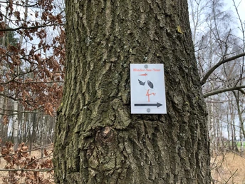 Ein Schild mit dem Hinweis "Blinder-See-Tour" ist an einem Baumstamm befestigt, begleitet von Herbstlaub.