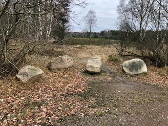 Große Findlinge liegen auf einem herbstlichen Waldweg, umgeben von kahlen Bäumen und brauner Vegetation.