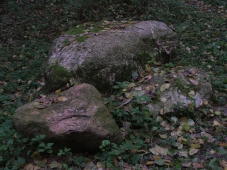 Pulderquelle Ein moosbedeckter Felsbrocken in einem von Laub bedeckten Waldstück, umgeben von niedrigem Grün.