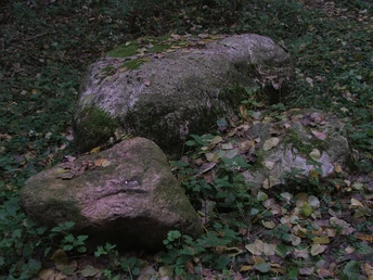 Pulderquelle Ein moosbedeckter Felsbrocken in einem von Laub bedeckten Waldstück, umgeben von niedrigem Grün.
