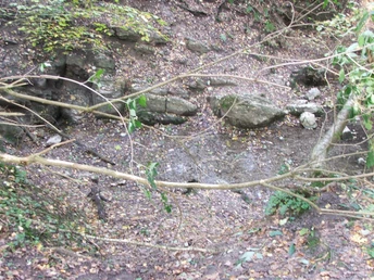 Quellenlandschaft mit herabgefallenen Ästen, steinigen Formationen und herbstlichem Laub im Forst.