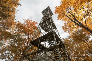 Gehrenberg+im+Herbst-5.jpg