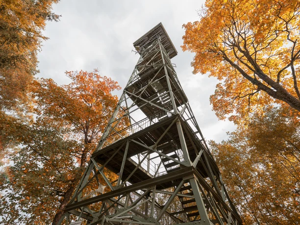 Gehrenberg+im+Herbst-5.jpg