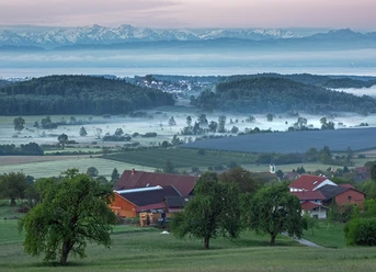 Blick in Richtung Bodensee vom Premiumwanderweg Guck Ins Land im Frühjahr. Kurz nach Sonnenaufgang.