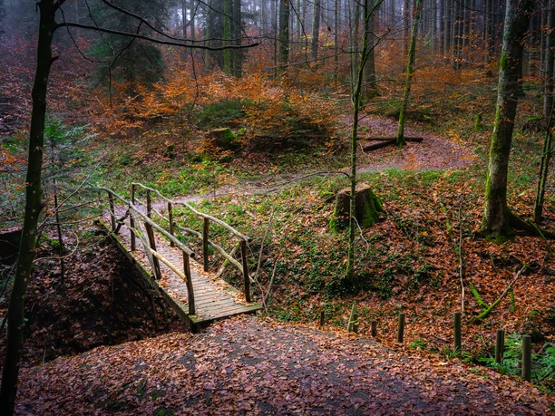 Bergtour_Höchsten-24.jpg