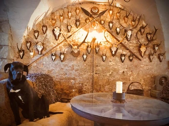 Rittergut Cattenstedt - urgemütlich im Gewölbe Rittergut Cattenstedt - urgemütlich im Gewölbe