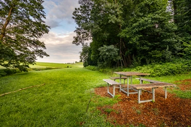 Bermatinger Waldwiesen -194-HDR.jpg