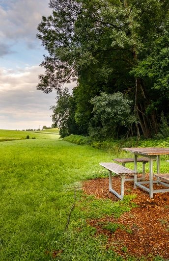 Bermatinger Waldwiesen -194-HDR.jpg