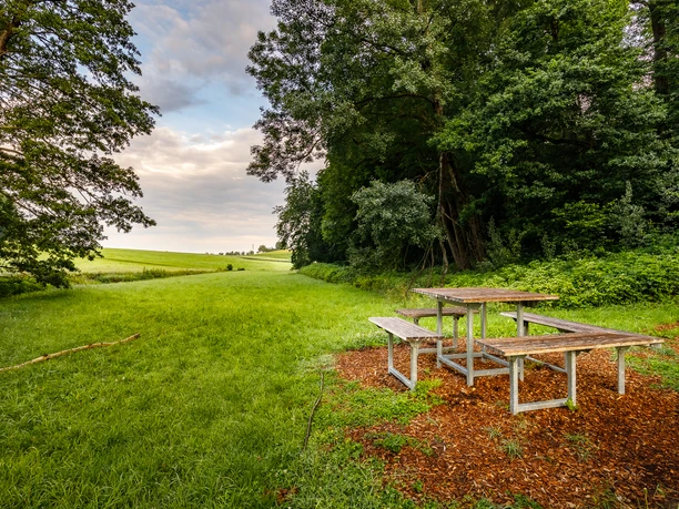 Bermatinger Waldwiesen -194-HDR.jpg