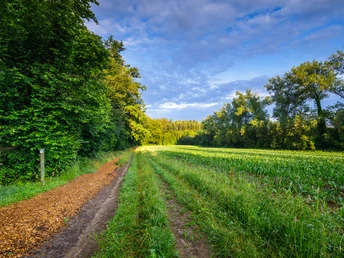 Bermatinger Waldwiesen, am Klotzenbach-1.jpg