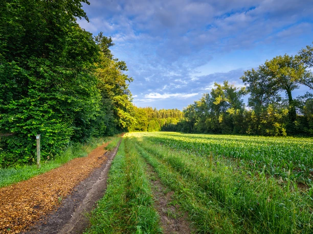 Bermatinger Waldwiesen, am Klotzenbach-1.jpg