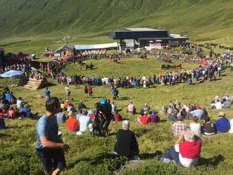 Aufalpung mit Stechfest auf der Belalp Aufalpung mit Stechfest auf der Belalp