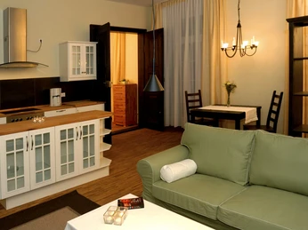 Appartements Residenz Jacobs in Ballenstedt - Wohnzimmer mit Kochnische Appartements Residenz Jacobs in Ballenstedt - Wohnzimmer mit Kochnische