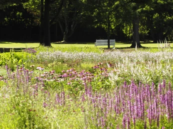 Gräflicher Park Blumenbeete in intensiven Farben schmücken eine grüne Parklandschaft mit schattenspendenden Bäumen.