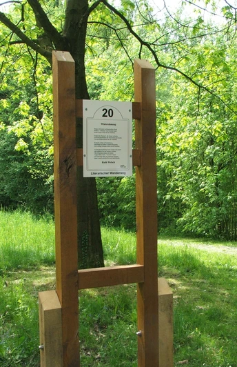 Hölzerne Infotafel Nummer 20 auf einem Wanderweg, umgeben von grünem Laub und sonnigem Licht.