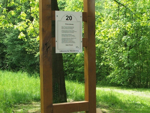 Literarischer Wanderweg Hölzerne Infotafel Nummer 20 auf einem Wanderweg, umgeben von grünem Laub und sonnigem Licht.
