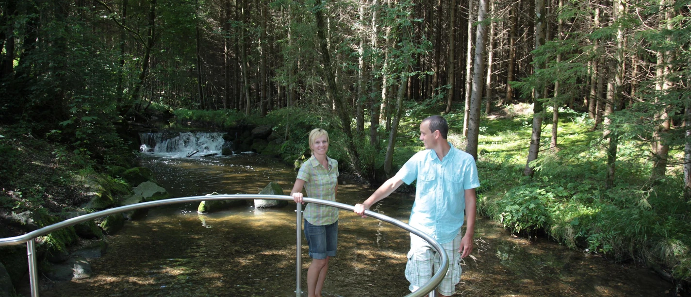 Wassertretstelle am Kneipp-Waldweg