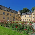Das Bild zeigt Schloss Crollage mit blühenden Rosen im Vordergrund, umgeben von einem blauen Himmel.