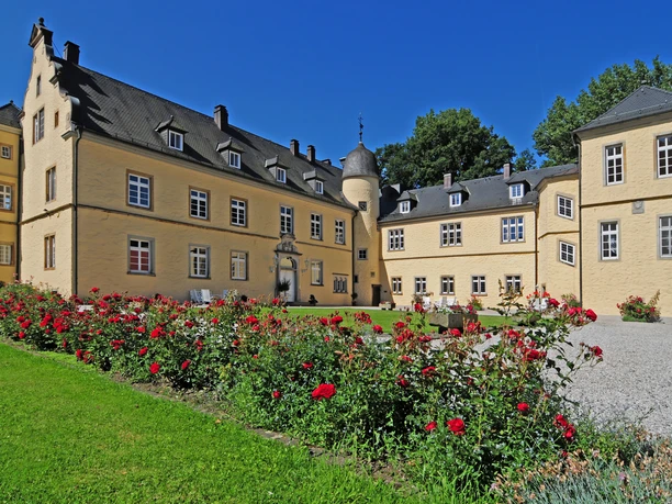 Das Bild zeigt Schloss Crollage mit blühenden Rosen im Vordergrund, umgeben von einem blauen Himmel.