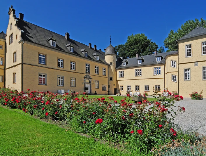 Das Bild zeigt Schloss Crollage mit blühenden Rosen im Vordergrund, umgeben von einem blauen Himmel.