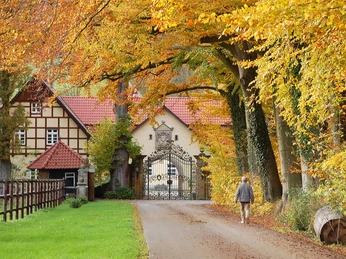 Zufahrt Schloss Crollage im Herbst Geschwungene Herbstbäume säumen den Weg zum schmiedeeisernen Tor des Schlosses Crollage.