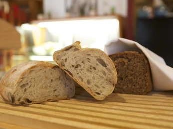 Hotel Grüne Eiche Hotel Grüne Eiche