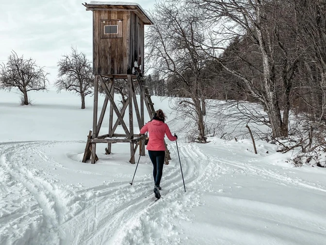 Langlaufen am Höchsten.jpg