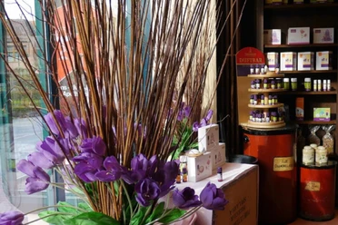 Hubertus Apotheke und Sanitätshaus Mölln Hubertus Apotheke und Sanitätshaus Mölln