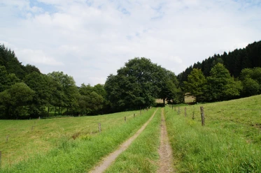 Wanderweg im Purder Bachtal Ein Feldweg schlängelt sich durch grüne Wiesen, flankiert von Bäumen und bewaldeten Hügeln.