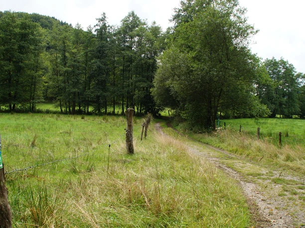 Wanderweg im Purder Bachtal Ein schmaler, unbefestigter Weg führt durch eine grüne Landschaft, umgeben von Bäumen und Wiesen.