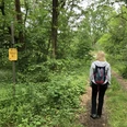 Eine Frau mit Rucksack spaziert auf einem grünen Wanderweg durch einen dichten Wald in Niedersachsen.