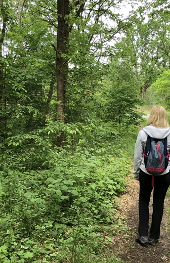 Löns Wanderweg Eine Frau mit Rucksack spaziert auf einem grünen Wanderweg durch einen dichten Wald in Niedersachsen.A woman with a rucksack walks along a green hiking trail through a dense forest in Lower Saxony.En kvinde med rygsæk går langs en grøn vandresti gennem en tæt skov i Niedersachsen.Een vrouw met een rugzak loopt over een groen wandelpad door een dicht bos in Nedersaksen.