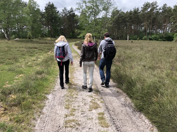 Three people are walking along a lonely sandy path through the green heath landscape in the forest.
