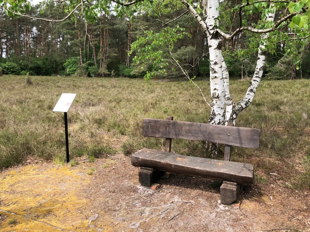 Löns Wanderweg Holzbank vor Birke auf Heideweg, umgeben von dichter Vegetation, Schild neben der Bank.