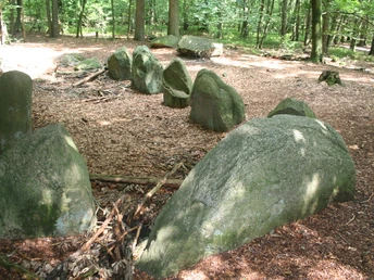 Steinreihe im Wald, bestehend aus großen, moosbedeckten Steinen, umgeben von Laubbäumen.