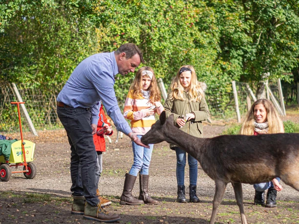 Wildpark Müden GmbH Wildpark Müden GmbH
