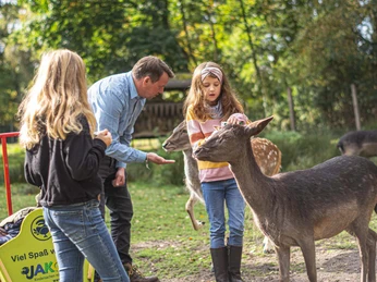 Wildpark Müden GmbH Wildpark Müden GmbH