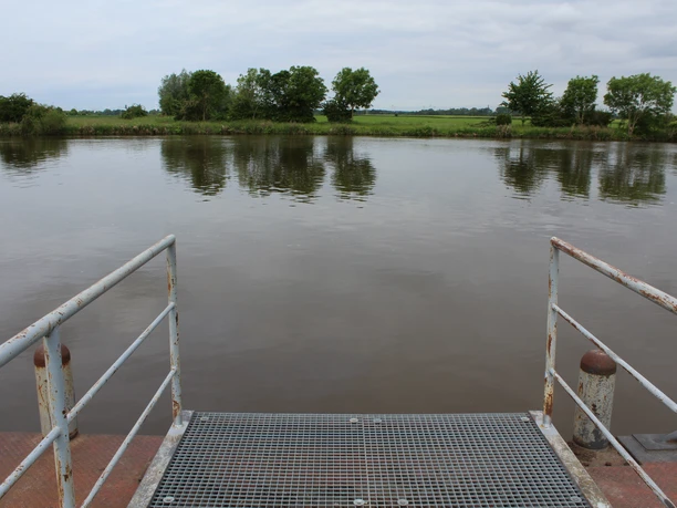 Aussicht von einem Schiffsanleger auf eine ruhige Flusslandschaft mit Bäumen am gegenüberliegenden Ufer.