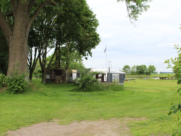 Landesbergen Schiffsanleger Grüner Außenbereich mit großen Bäumen, einem Zelt und landwirtschaftlichen Maschinen im Hintergrund.