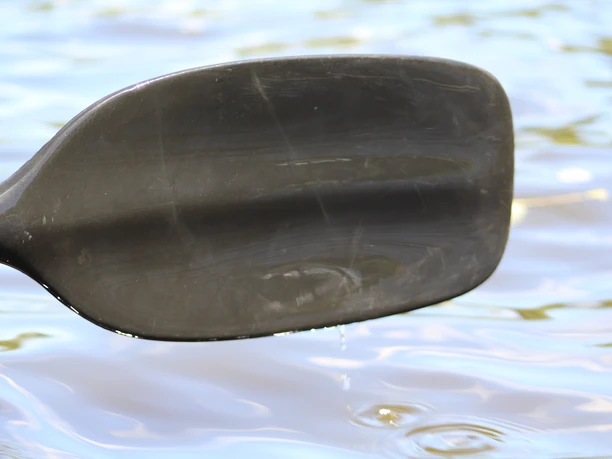 Kanutour Mittelweser Ein schwarzes Paddel taucht ins sanfte Wasser ein und erzeugt leichte Wellen auf der Mittelweser.